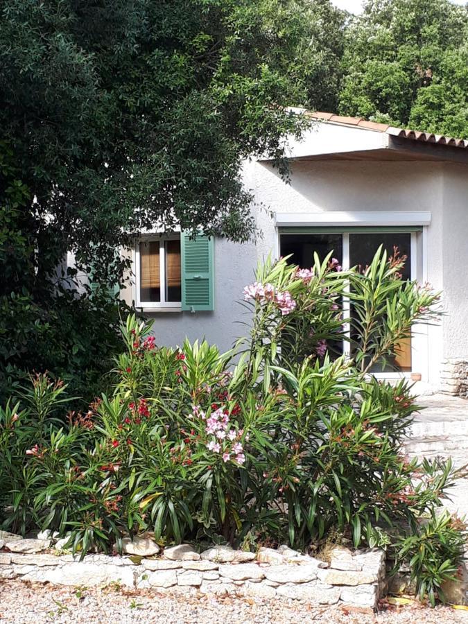 Gîte Acellu Bonifacio  Esterno foto