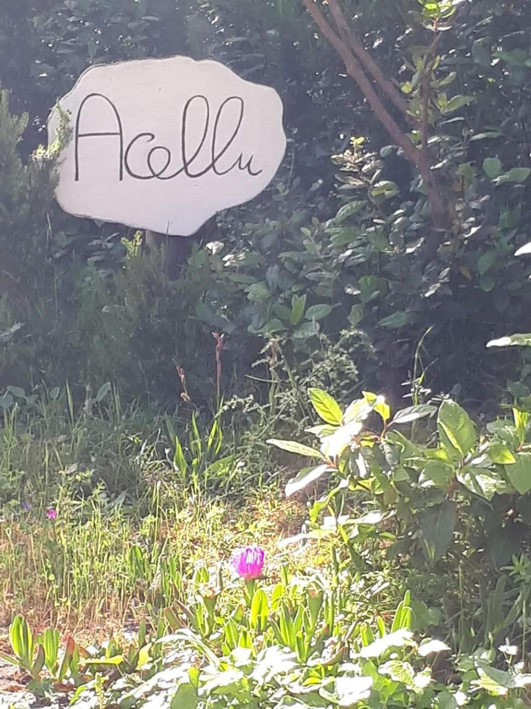 Gîte Acellu Bonifacio  Esterno foto