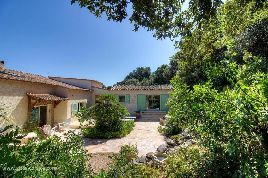 Gîte Acellu Bonifacio  Esterno foto