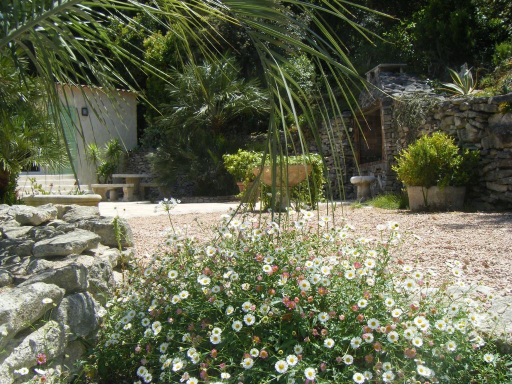 Gîte Acellu Bonifacio  Camera foto
