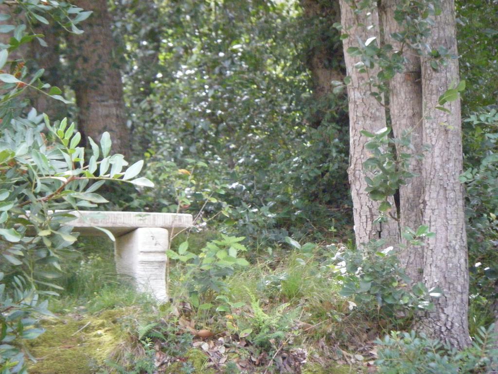 Gîte Acellu Bonifacio  Esterno foto